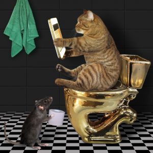 ห้องน้ำแมว catspurry