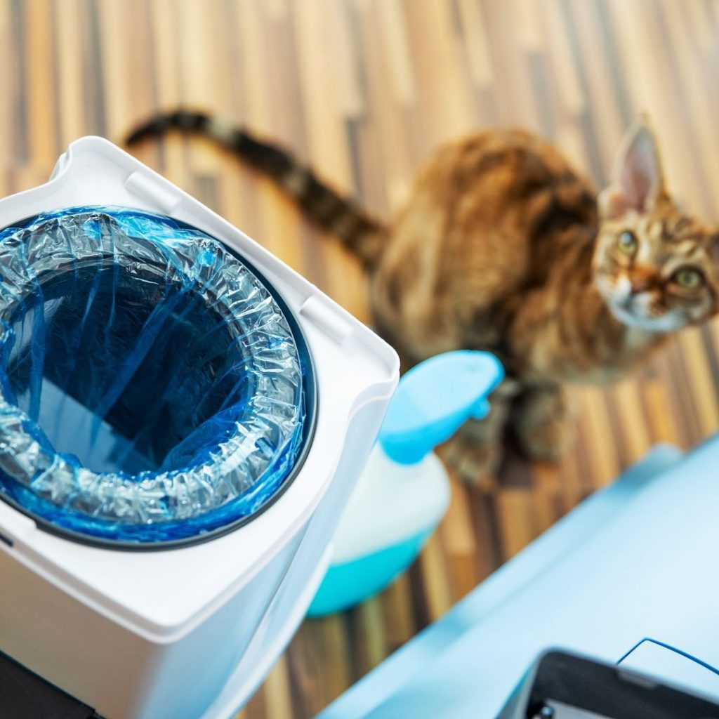 ทิ้งทรายแมวใช้แล้วยังไงดีให้เพื่อนบ้านไม่ด่าแถมรับผิดชอบต่อสังคม