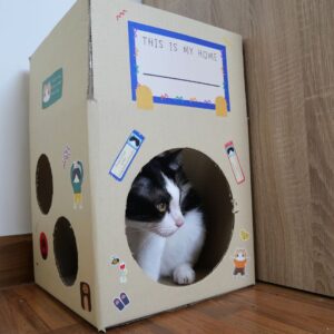Cat house by catspurry